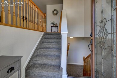 Stairs with carpet flooring