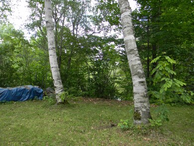 776 Stark Hwy unit M411 L018, Stark, NH 03582 - photo 5