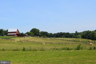 30096 Mine Run Rd, Unionville, VA 22567 - photo 7