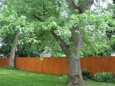 Backyard.