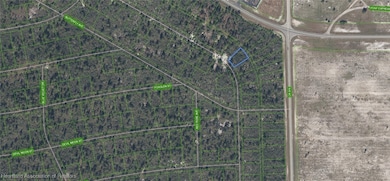 556 Ebbtide Ave, Lake Placid, FL 33852 - photo 3