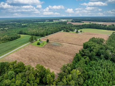 TBD Lot B7 Mount Olive Church Rd, Nichols, SC 29581 - photo 3