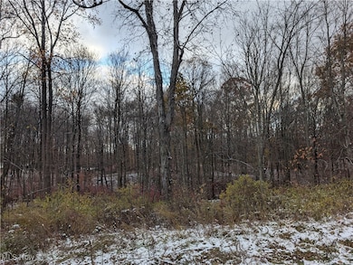 View of snow covered land featuring a forest view
