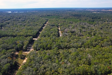 0 Brett Ave unit 25619302, Interlachen, FL 32148 - photo 3