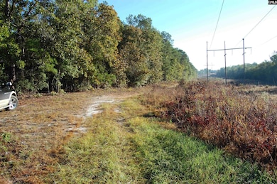 322 Sandspur Rd, Camden, SC 29020 - photo 7