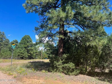 2899 Lejo Rd.
