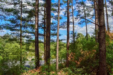 0 Guildford Farm Rd unit 604314, Ruckersville, VA 22968 - photo 3