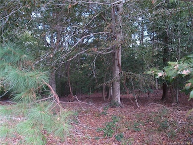 TBD Squirrel Hollow Ln, New Kent, VA 23011 - photo 2