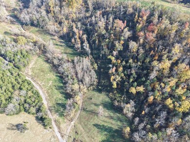 270 Higgins Rd, Woodbury, TN 37190 - photo 4