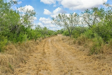 1121 County Road 481, Alice, TX 78332 - photo 5