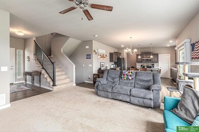 11728 S 112th St, Papillion, NE 68046 - photo 6