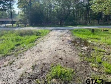 16599 Janan Dr, Tyler, TX 75707 - photo 3