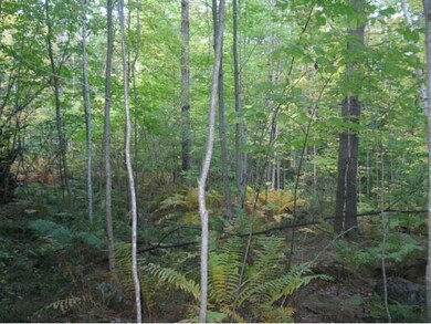 0 Upper Mad River Rd unit 7 4863640, Thornton, NH 03285 - photo 2