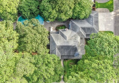 An aerial shot highlights the mature landscape