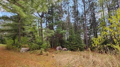 80064 Osprey Pass, Tower, MN 55790 - photo 6