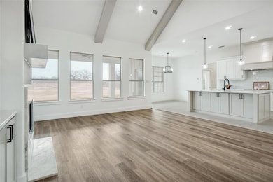 240 Zebrastone, Poolville, TX 76487 - photo 7