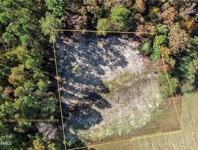 Kentyrewood Aerial with Lot Anno.