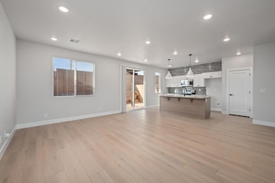 Kitchen & Living Space