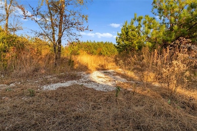 40 Mystic Gypsy Ln, Hochatown, OK 74728 - photo 3