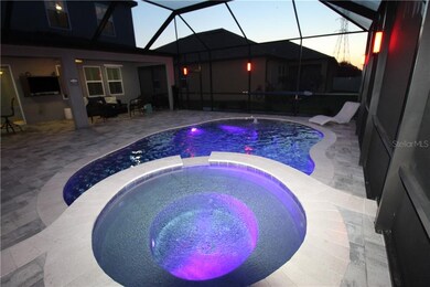 Dramatic Lighting in Pool & Pool Enclosure