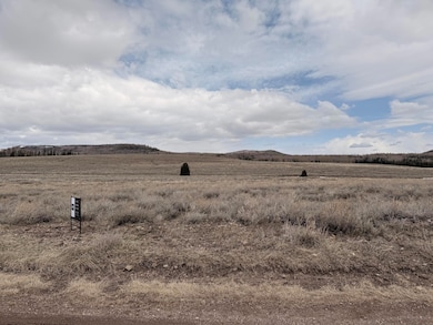2563 E Meadow Lake Dr, Brian Head, UT 84719 - photo 2