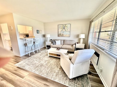 47 Salisbury B, West Palm Beach, FL 33417 - photo 2