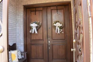 Mahogany Wood Doors
