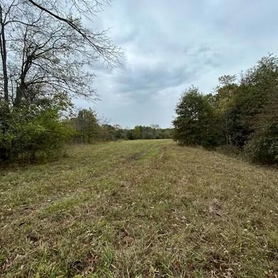 LOTS 10-11 County Road 4014, Cote Sans Dessein Township, MO 65080 - photo 6