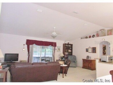 10000 SW 188th Cir, Dunnellon, FL 34432 - photo 2