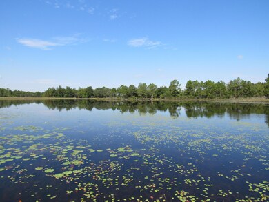 Beautiful Waterfront