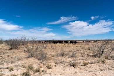 PN 70596 Victoria Rd, Sierra Blanca, TX 79851 - photo 6