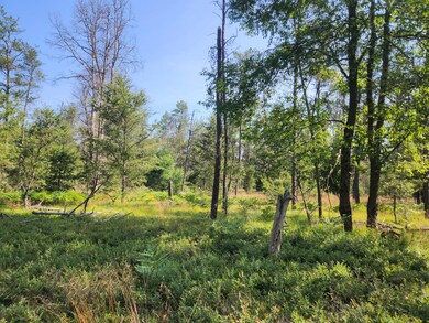 VL W Hb Road (Trail 6545), Baldwin, MI 49304 - photo 3