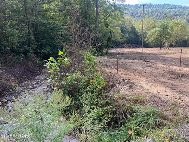 0 unit 1305295, Jamestown, TN 38556 - photo 3