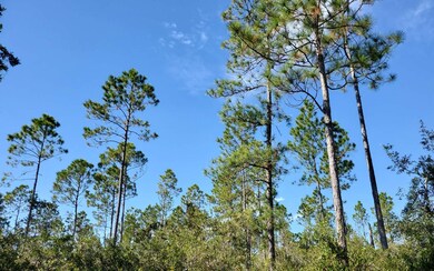 0 SW Prine Rd unit 121586, Lee, FL 32059 - photo 5