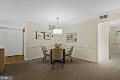 3111 Patrick Henry Dr unit 634, Falls Church, VA 22044 - photo 3