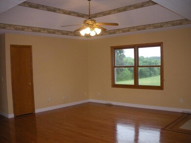 Living room - double tray ceiling