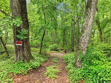 View of tree filled area