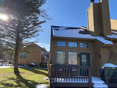 104 Deerfield Village, Davis, WV 26260 - photo 2