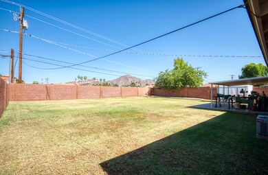 BACKYARD 1