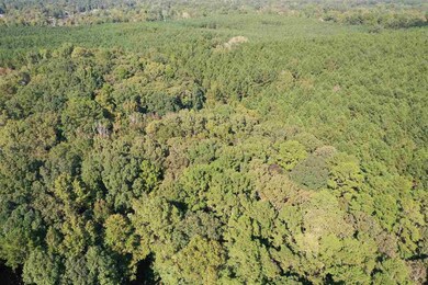 002 Pilgrim Rest Dr, Brandon, MS 39042 - photo 2