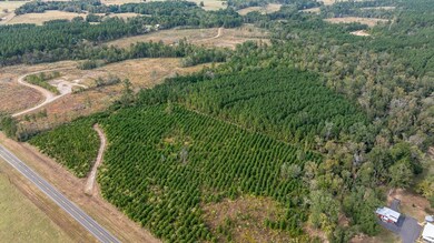 76.68 Fm 843, Nacogdoches, TX 75964 - photo 5