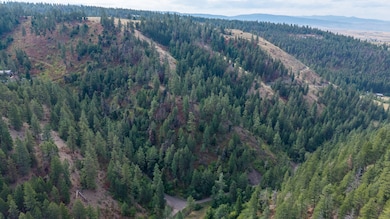 NHN Copper Ridge Trail, Florence, MT 59833 - photo 6