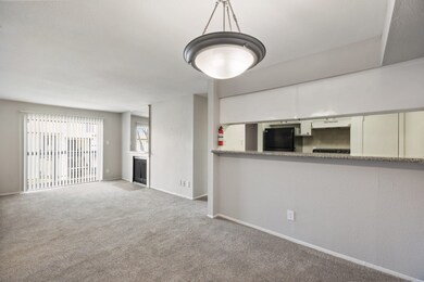 10101 Forum Park Dr unit 2036, Houston, TX 77036 - photo 5