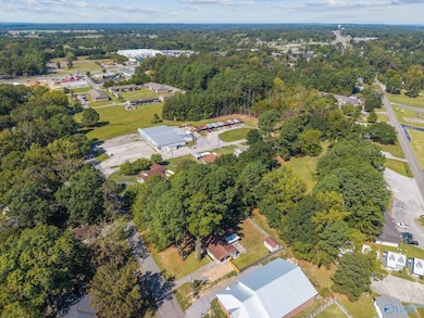 401 Longhorn Pass NW, Hartselle, AL 35640 - photo 7