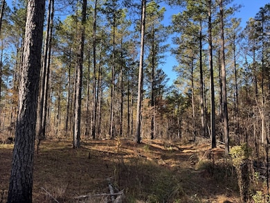 00 Mississippi 9, Bruce, MS 38915 - photo 2