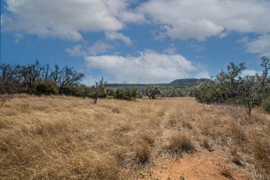 3 E Lower Crabapple Rd unit 3, Fredericksburg, TX 78624 - photo 5