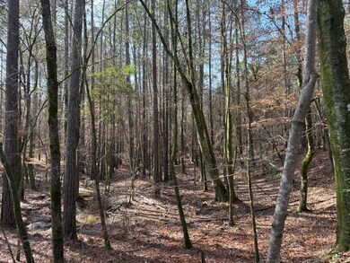 TBD Girlinghouse Rd, Jena, LA 71342 - photo 4