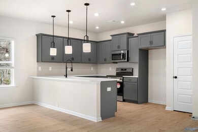 1108 Tanger Glen Trail NW, Harvest, AL 35749 - photo 6