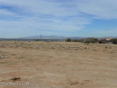 176 Road 3950, Farmington, NM 87401 - photo 7