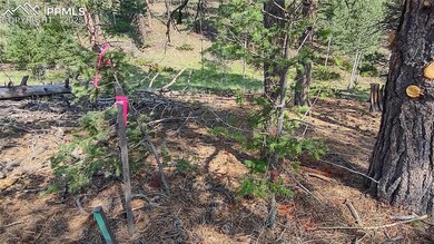 54 Garnet Way, Florissant, CO 80816 - photo 6